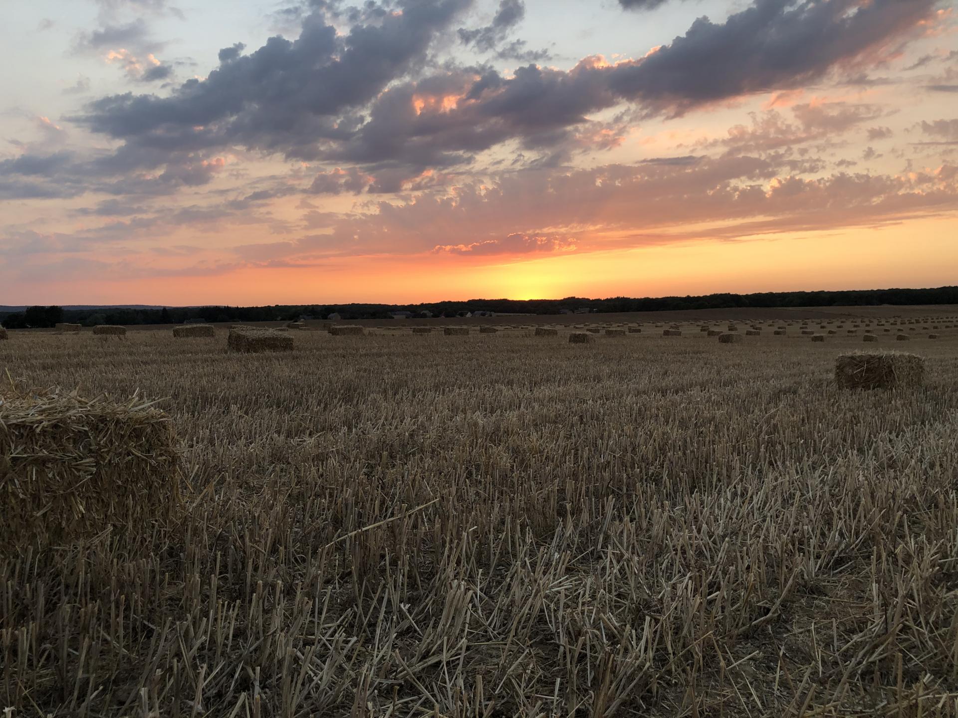 coucher de soleil sur les bottes