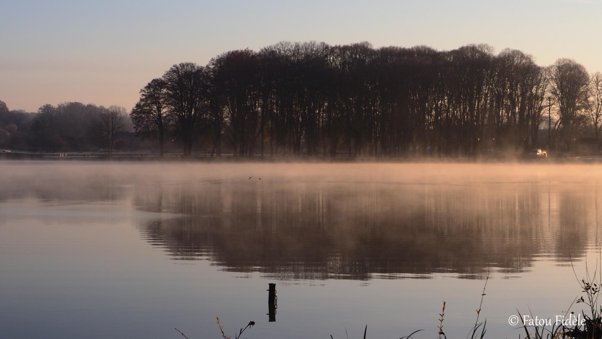 brume sur étang